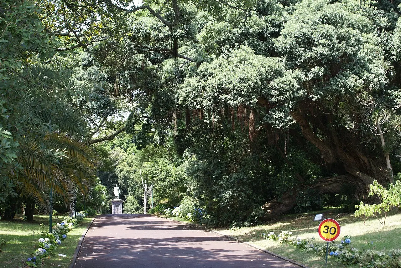 Jardim Botânico José do Canto