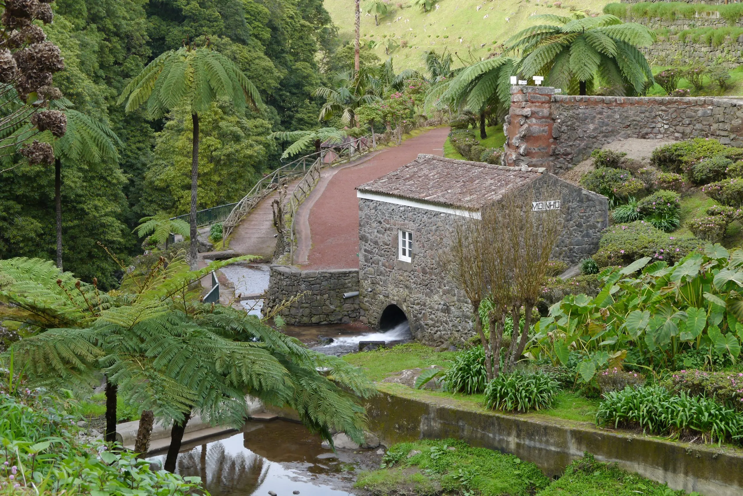 Sao-Miguel_Nordeste_Ribeira-dos-Caldeiroes